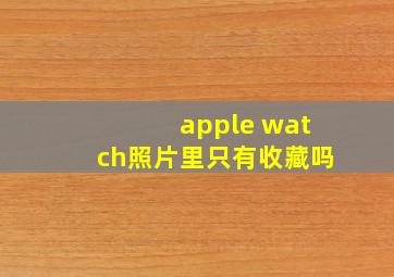 apple watch照片里只有收藏吗